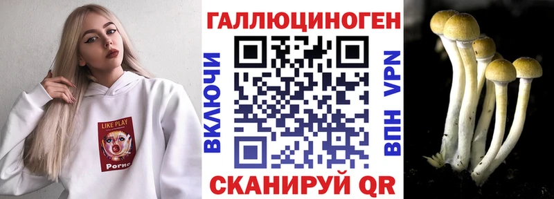 Галлюциногенные грибы MAGIC MUSHROOMS  Ессентукская 